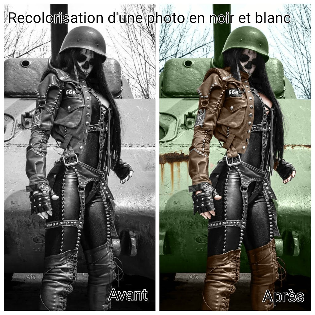 Recolorisation de photos